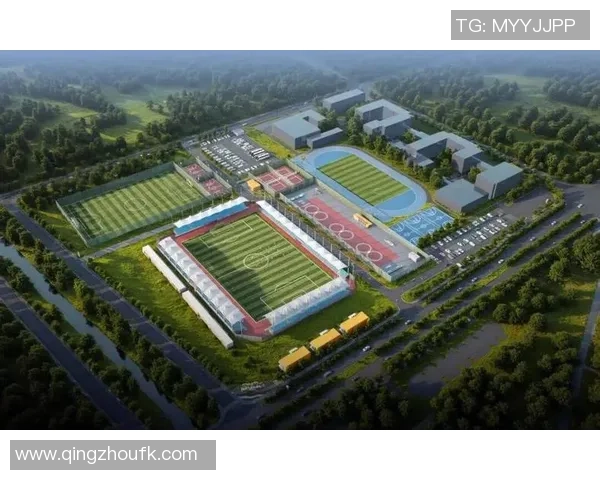 专业足球场标准解析及其对比赛质量的影响与提升策略 专业足球场标准解析及其对比赛质量的影响与提升策略