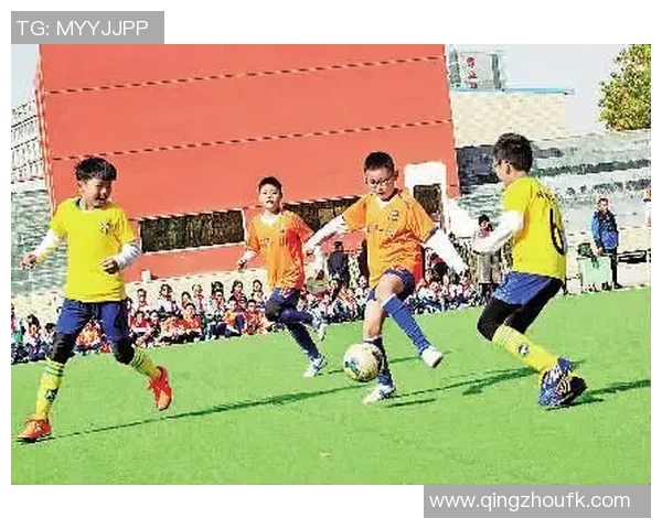 探索SN足球的魅力与发展历程,揭示其背后的故事与未来趋势 探索SN足球的魅力与发展历程,揭示其背后的故事与未来趋势