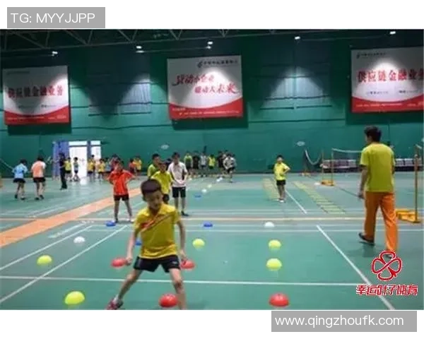 杭州羽毛球队区域防守战术解析与实践探讨