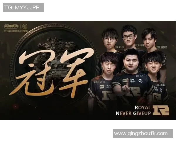 独家解析RNG团队协作的优势与不足对比分析 独家解析RNG团队协作的优势与不足对比分析