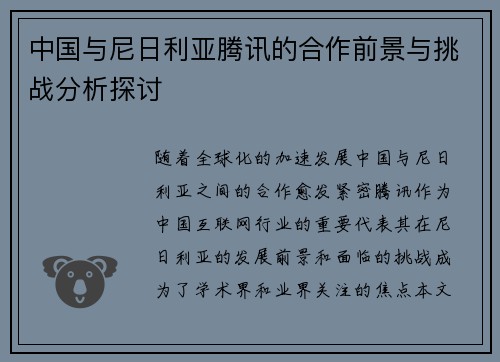中国与尼日利亚腾讯的合作前景与挑战分析探讨