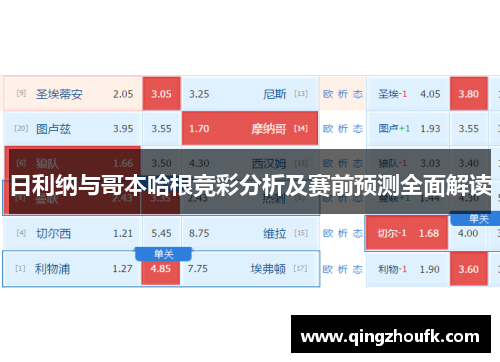 日利纳与哥本哈根竞彩分析及赛前预测全面解读